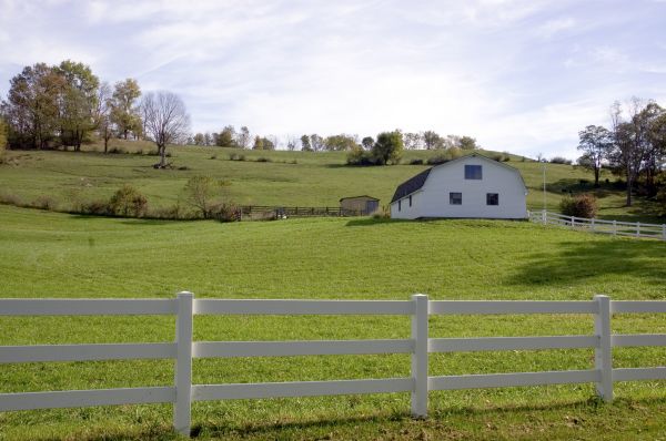 Split Rail Fence Restoration