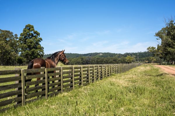 Equine Fencing Installation