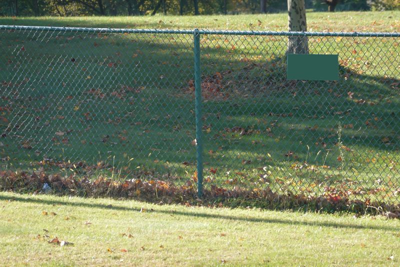 Fence Maintenance Year-Round